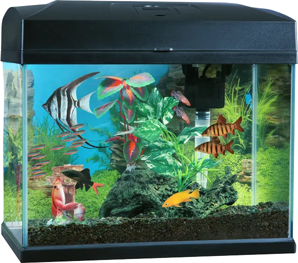 Blue Planet - Classic Aquarium 20L