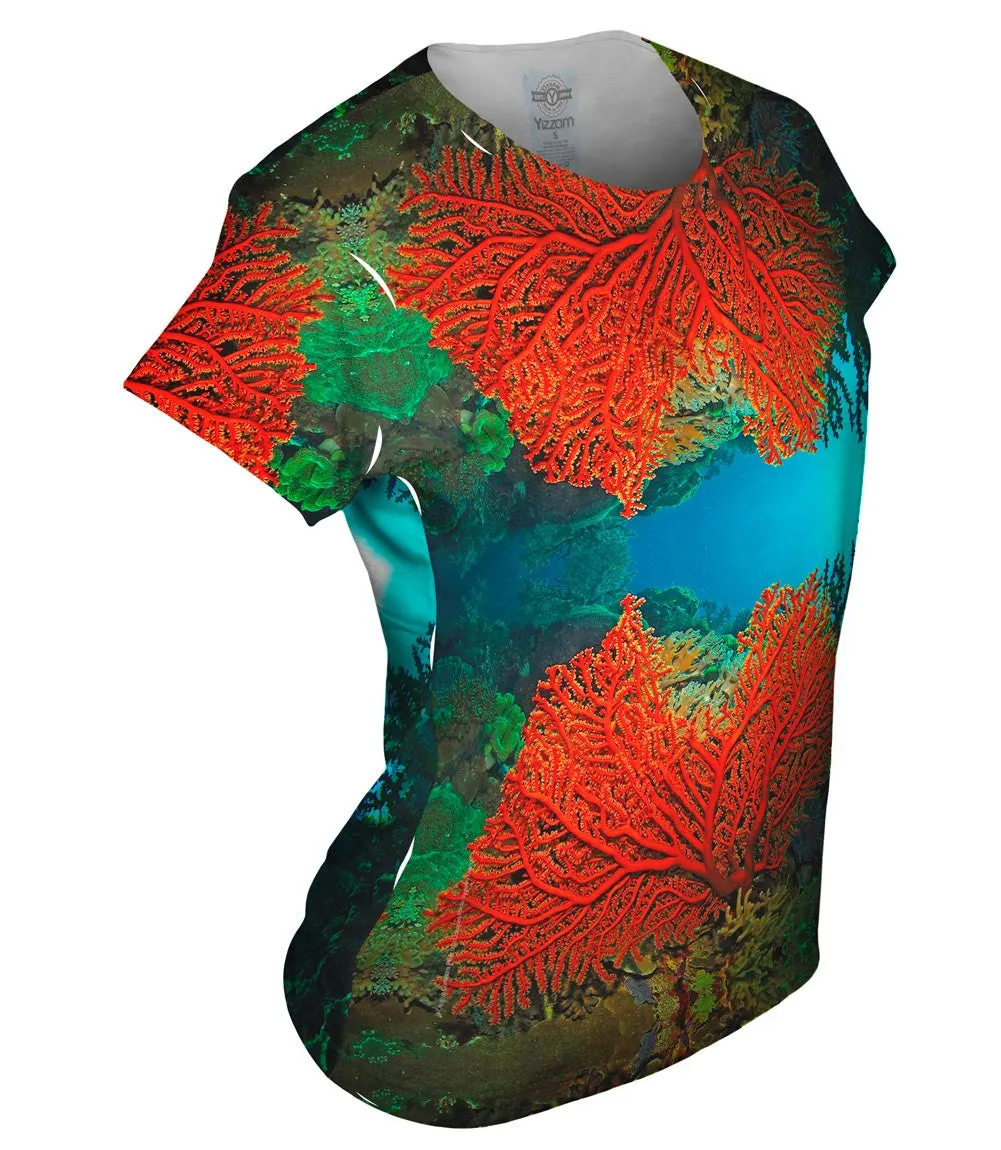 Cave Coral Party Underwater