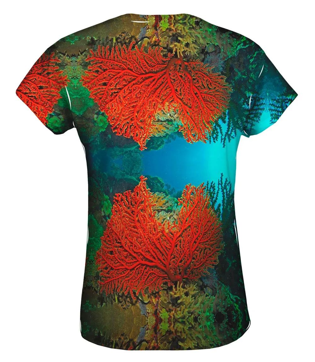 Cave Coral Party Underwater
