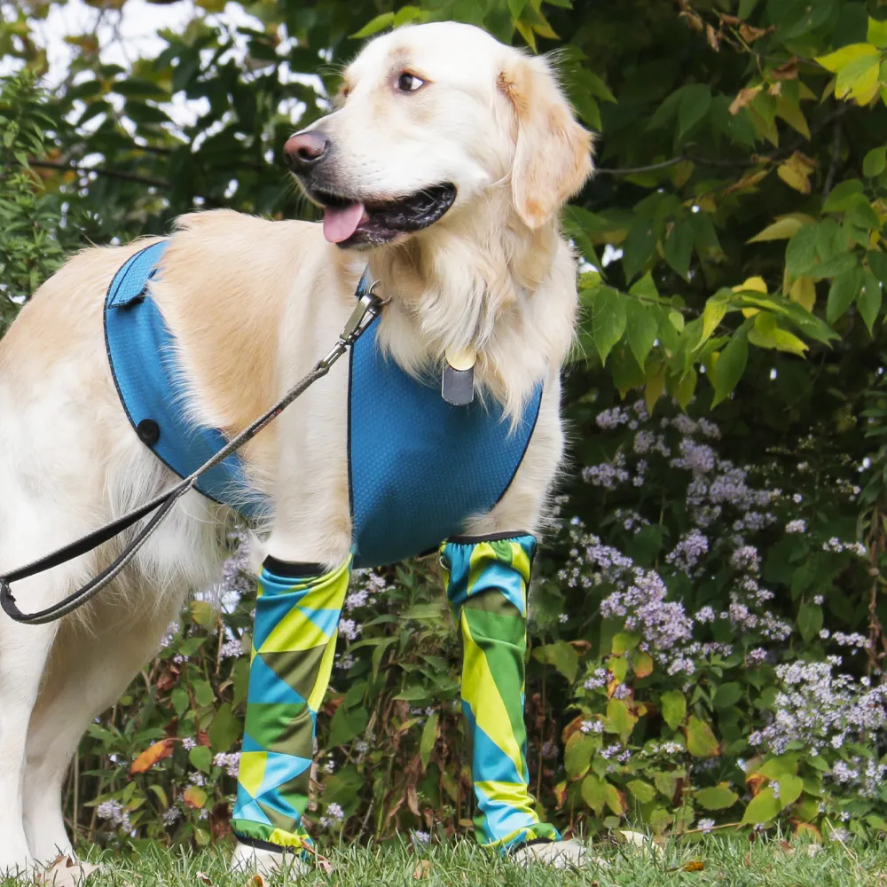 ECO LEGGINGS | blue   green geo