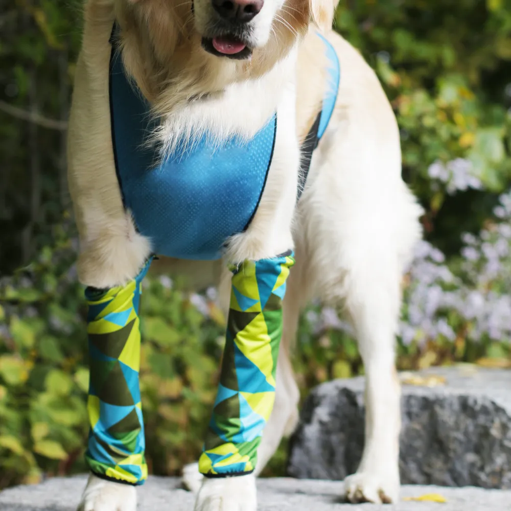 ECO LEGGINGS | blue   green geo
