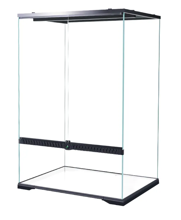 MIUS Rainforest Box (Crystal Glass)