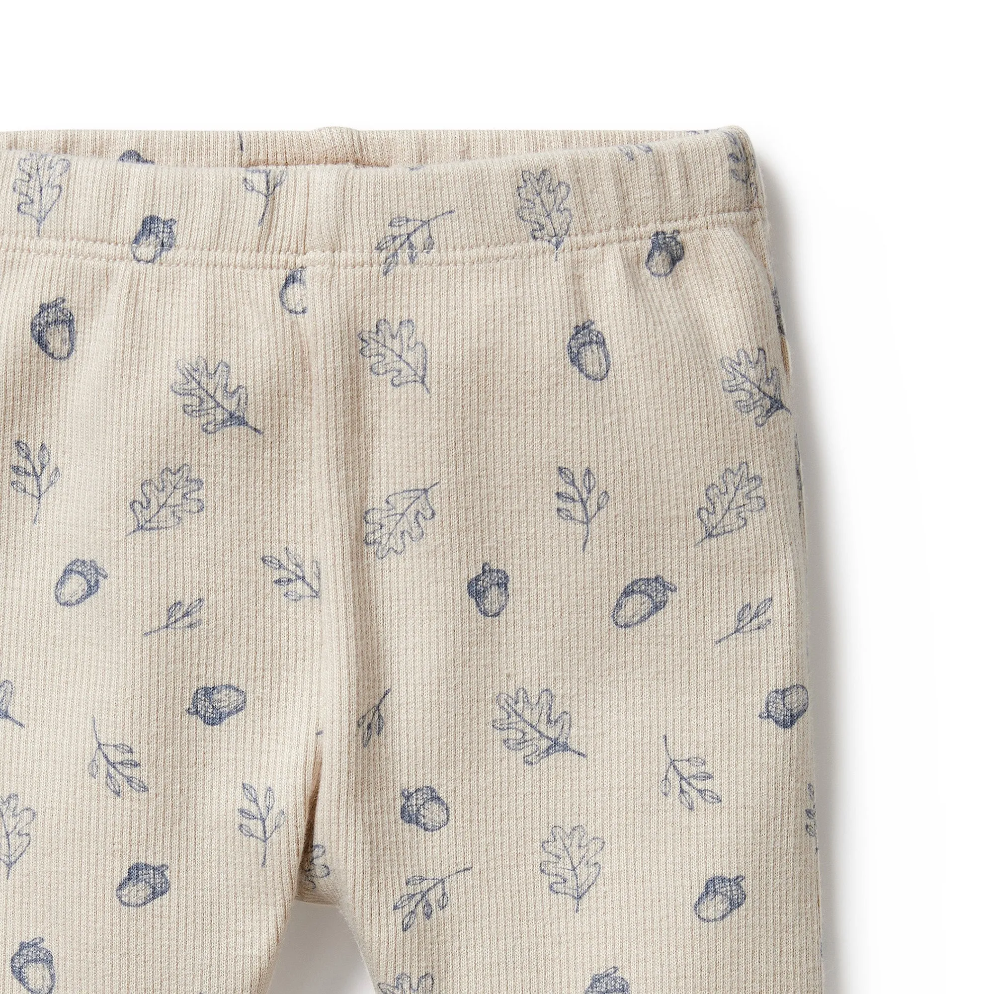 Organic Cotton Legging | Falling Oak