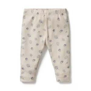 Organic Cotton Legging | Falling Oak