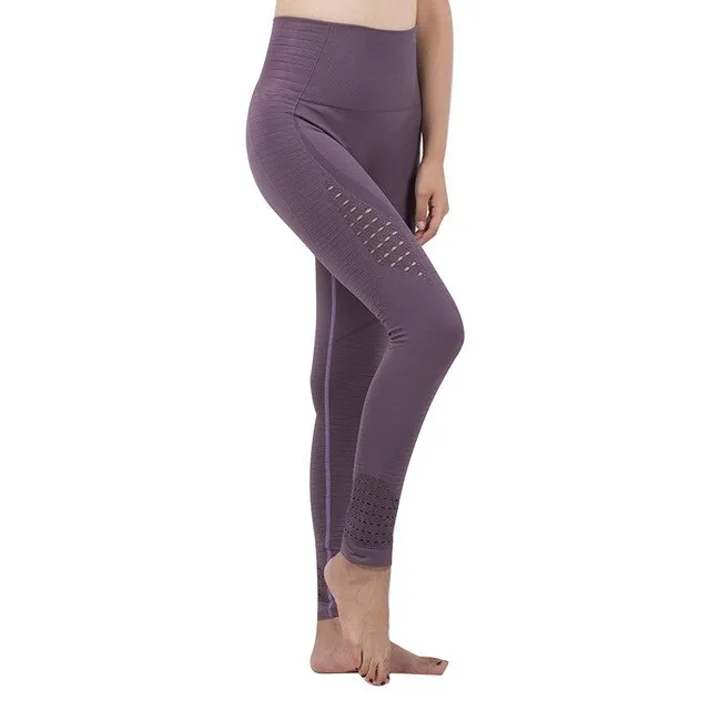 Shark Leggings