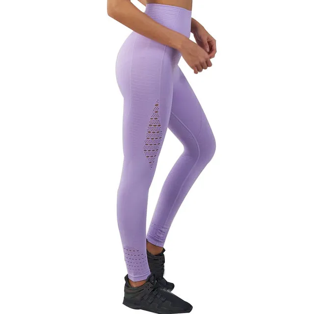 Shark Leggings