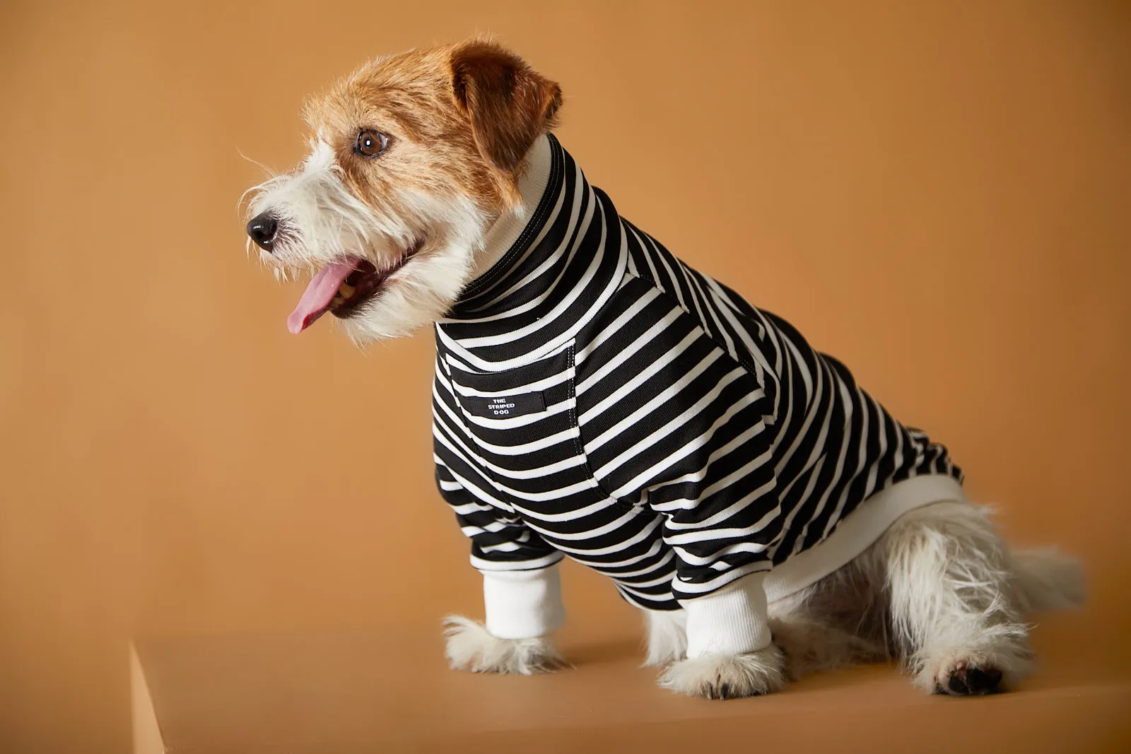 Striped Turtleneck Sweater ELOISE