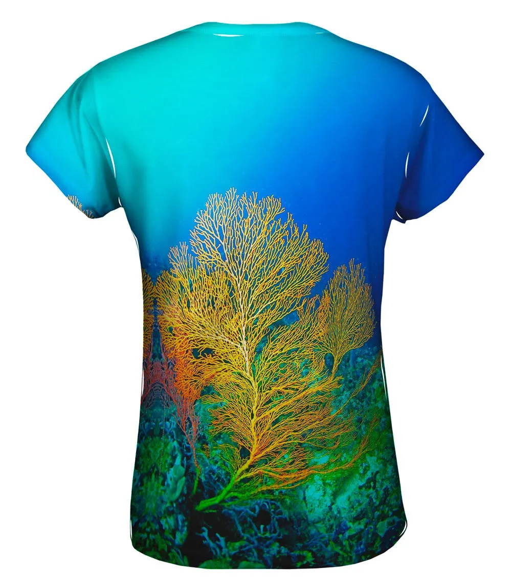 Yellow Coral Underwater