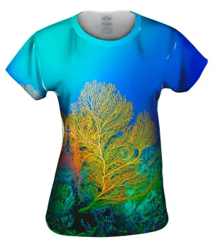 Yellow Coral Underwater