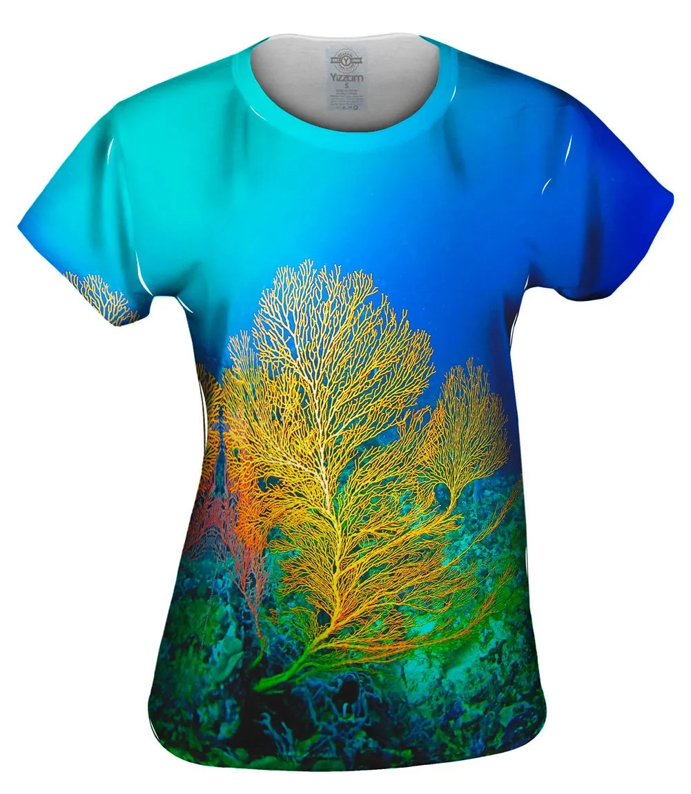 Yellow Coral Underwater